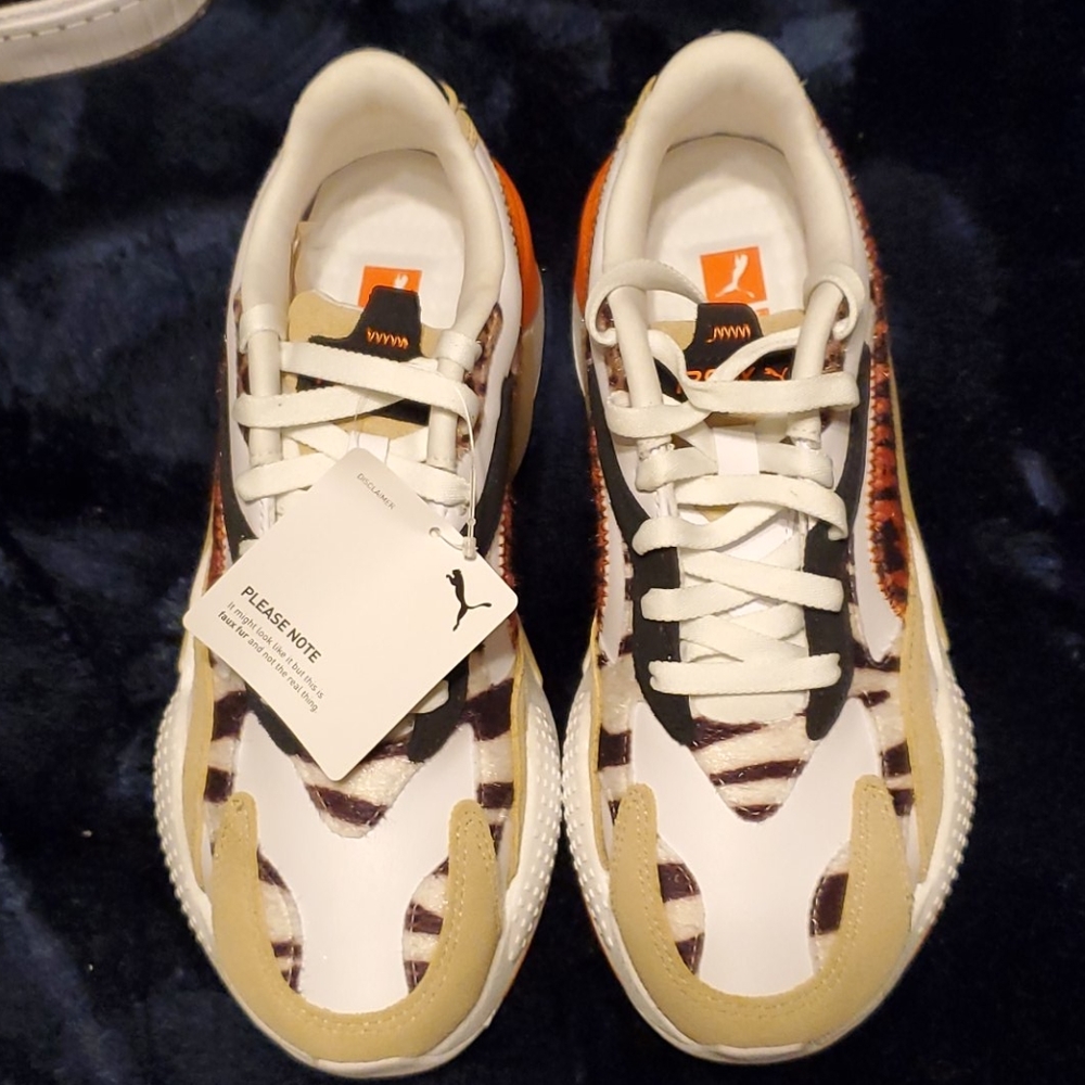 Puma cats